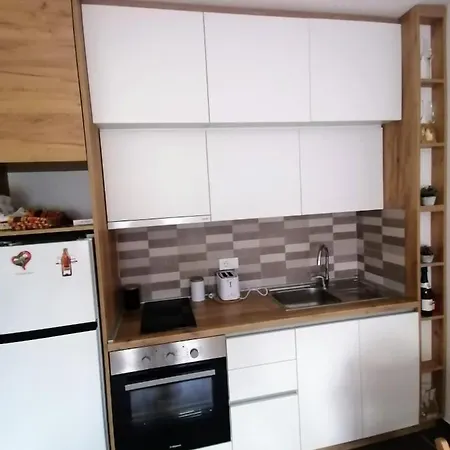 Kuzmanovic *